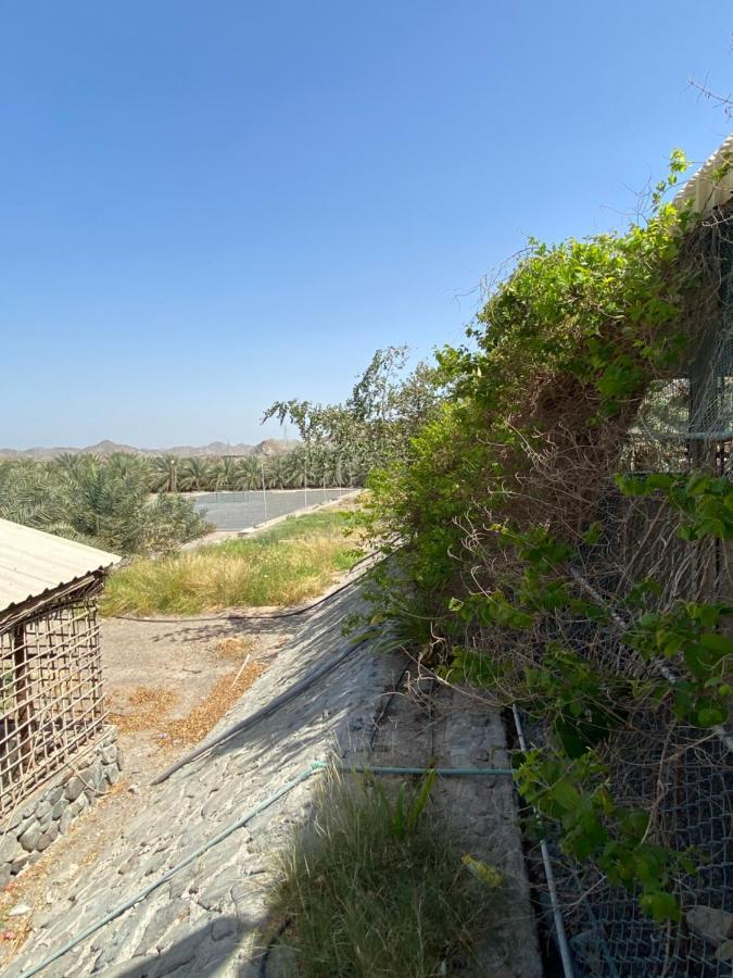 Uae Farm *
