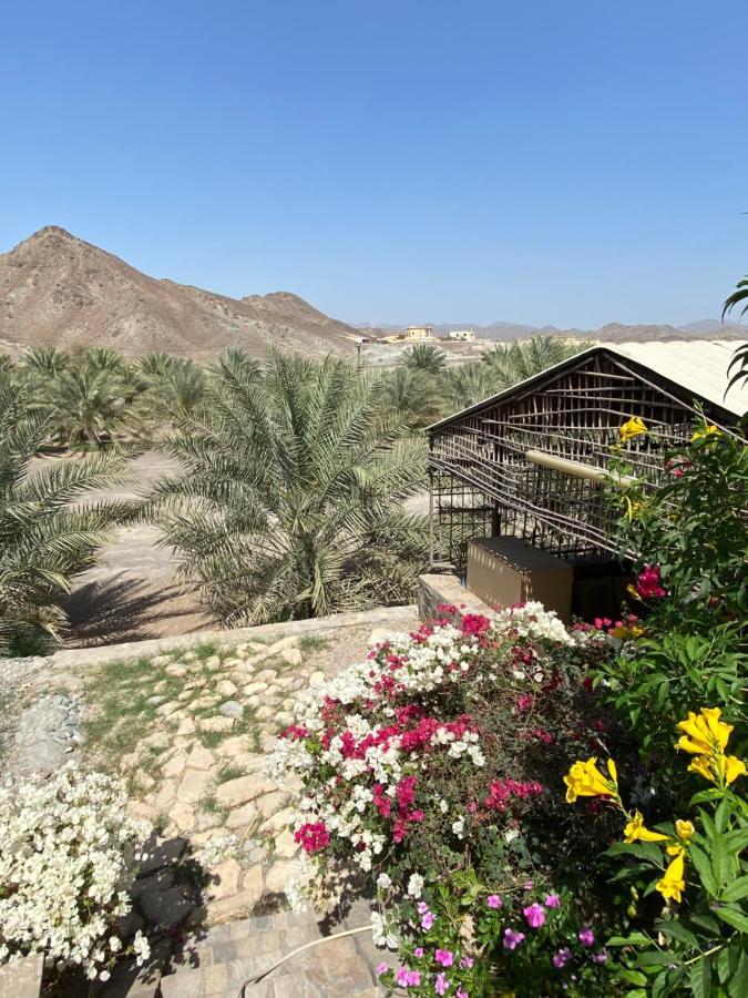 Uae Farm Hébergement de vacances Qur