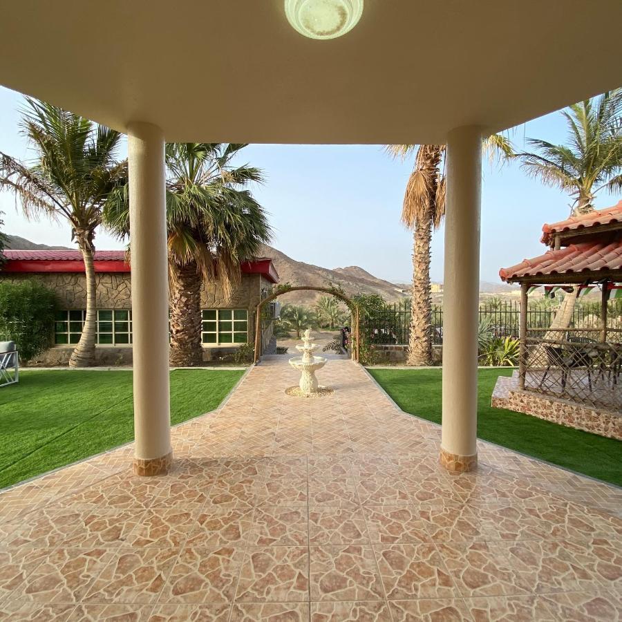Uae Farm Hébergement de vacances Qur