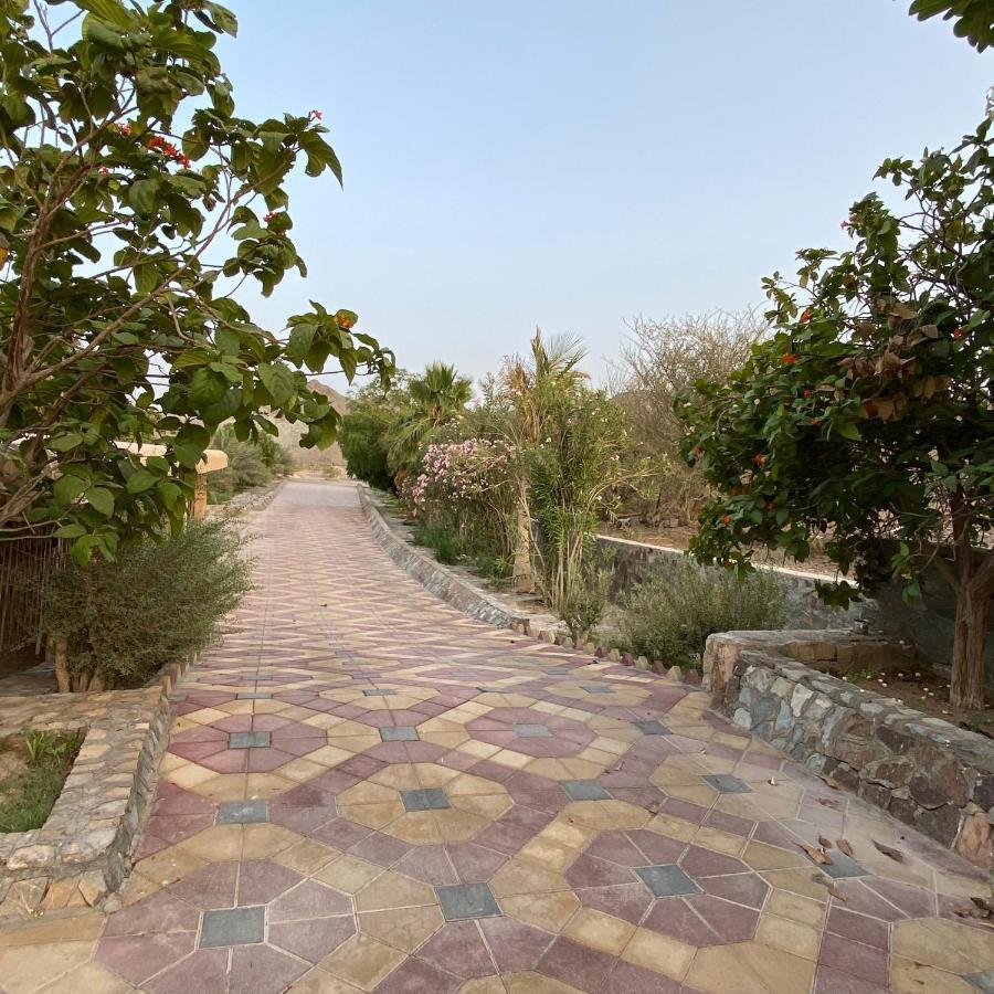 Uae Farm *